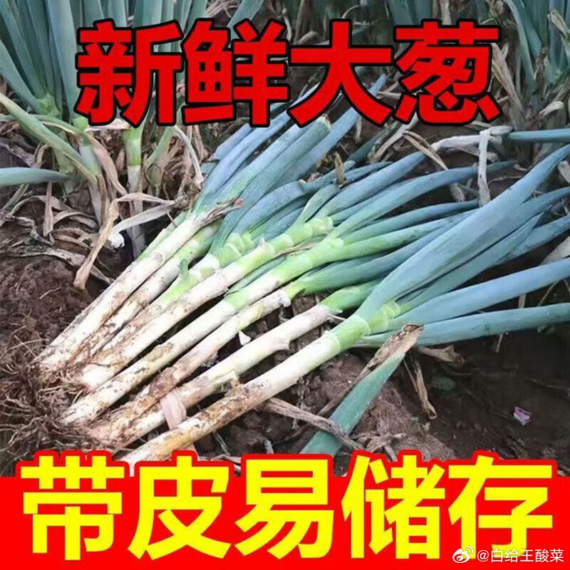 亨泰丰源正宗山东新鲜大葱5斤 11.9元 - 86线报
