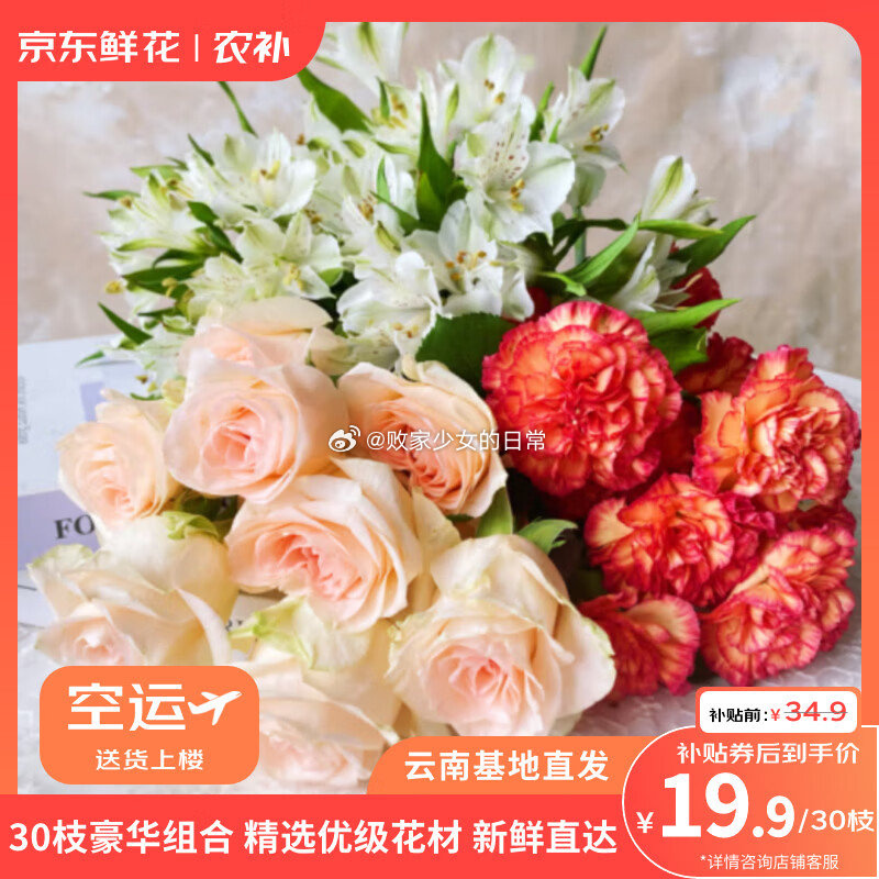 鲜花 玫瑰10枝+康乃馨10枝+赠六初10支 领15券 到手19.89 - 86线报