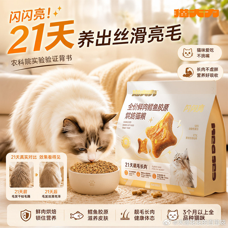 PawinPaw卡通小熊长袖T恤 71.8元 - 86线报
