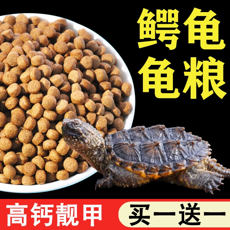 鱼克斯鳄龟乌龟饲料龟粮佛鳄龟专用小鳄龟苗爆刺纯大鳄龟食料鳄鱼 5.92元 - 86线报