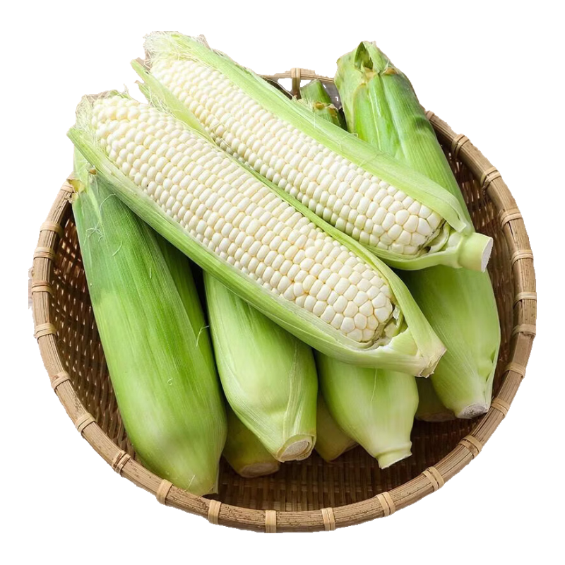 新鲜白糯玉米山东头茬现摘水果玉米5斤约6-9根 8.9元 - 86线报 新鲜白糯玉米山东头茬现摘水果玉米5斤约6-9根 8.9元 - 86线报