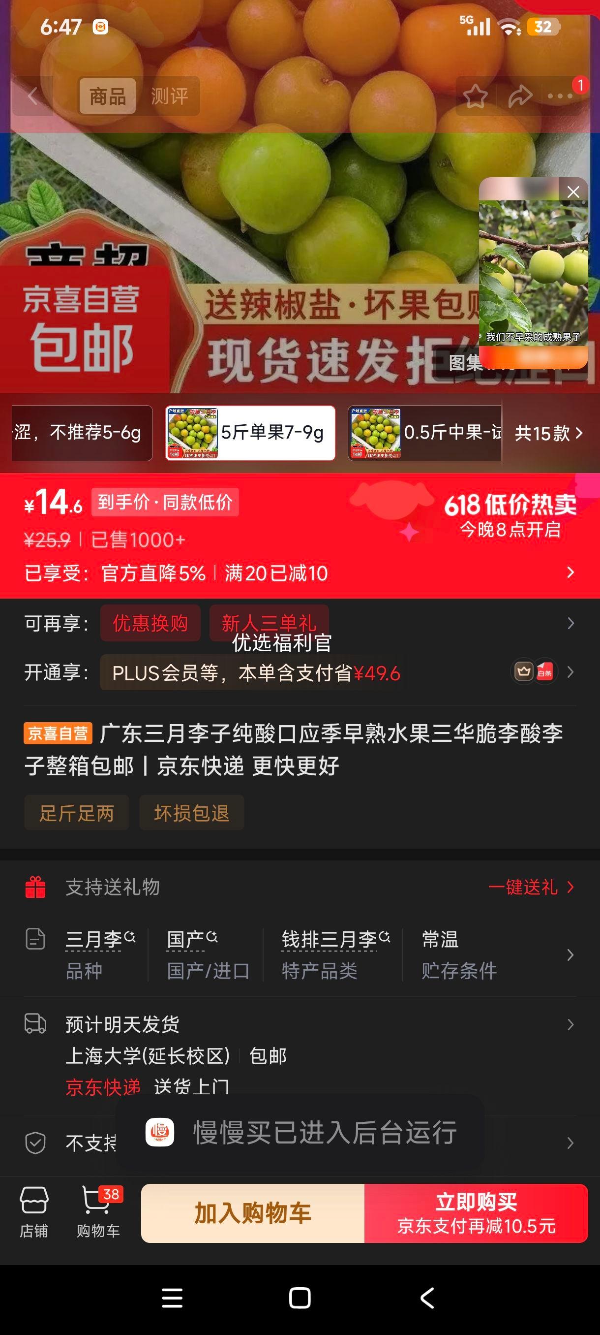 广东三月李子三华脆李酸口应季早熟水果5斤 14.6元 - 线报酷