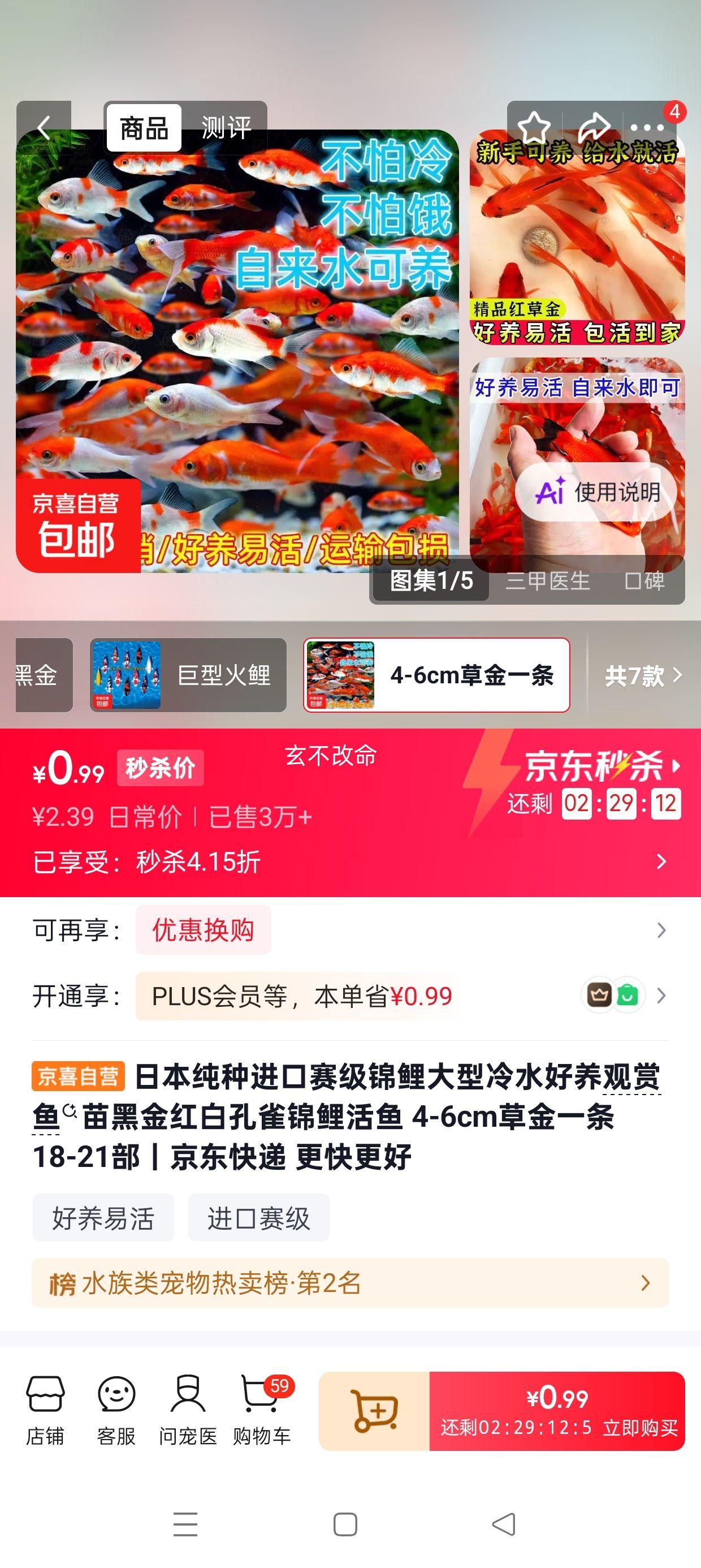 日本进口赛级锦鲤4-6cm黑金红白孔雀草金活鱼 0.99元 - 86线报