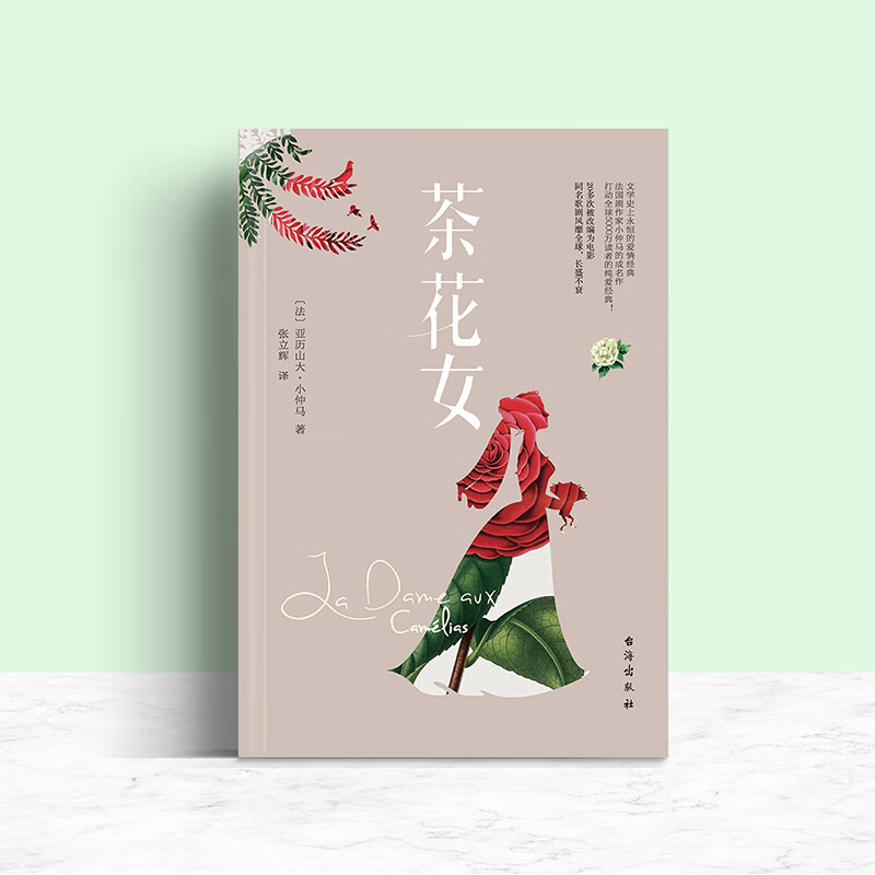 茶花女小说 13.45元 - 86线报