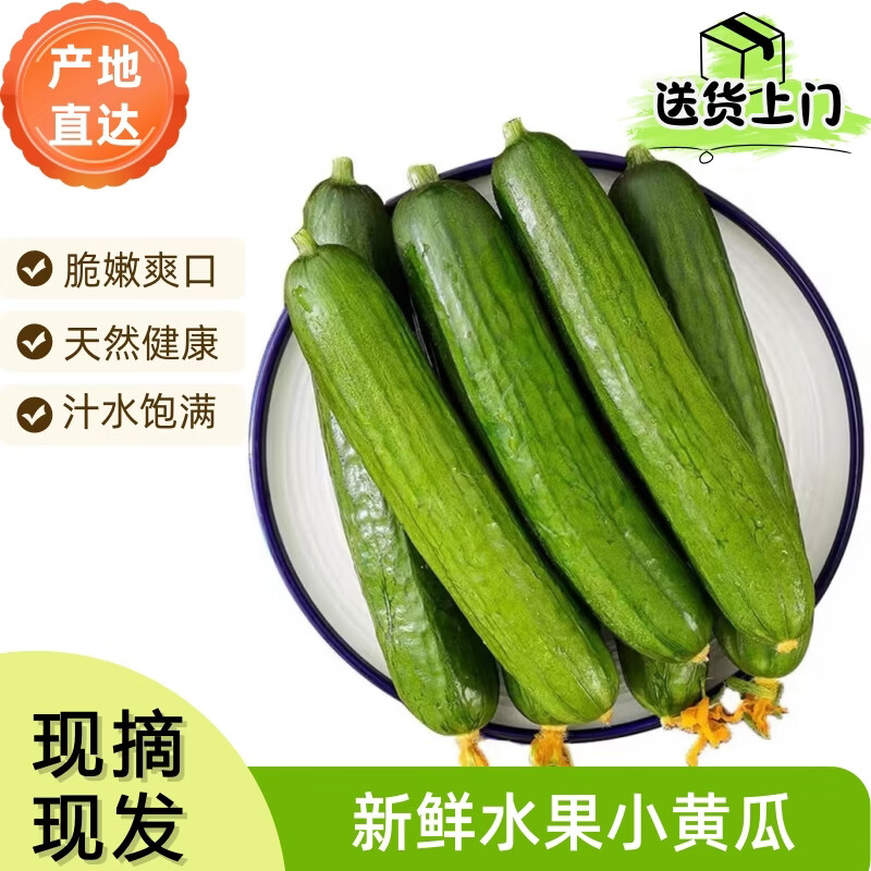 京鲜生山东水果小黄瓜净4.5斤单果70g+ 13.9元 - 线报酷