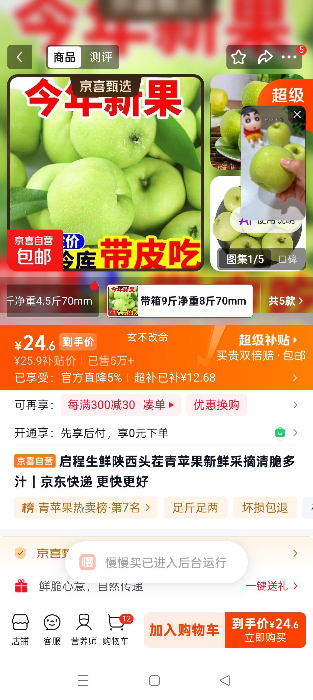 启程生鲜陕西头茬青苹果70mm带箱9斤净重8斤 24.6元 - 折送网