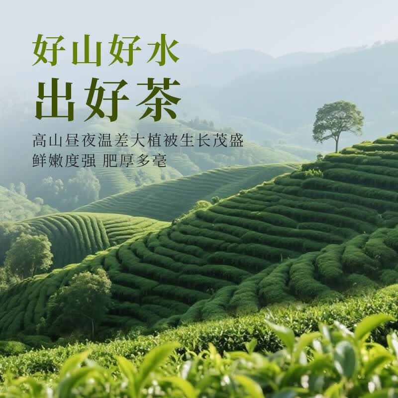 宫魁老号茉莉高碎浓香型500g袋装花茶 29.9元 - 86线报
