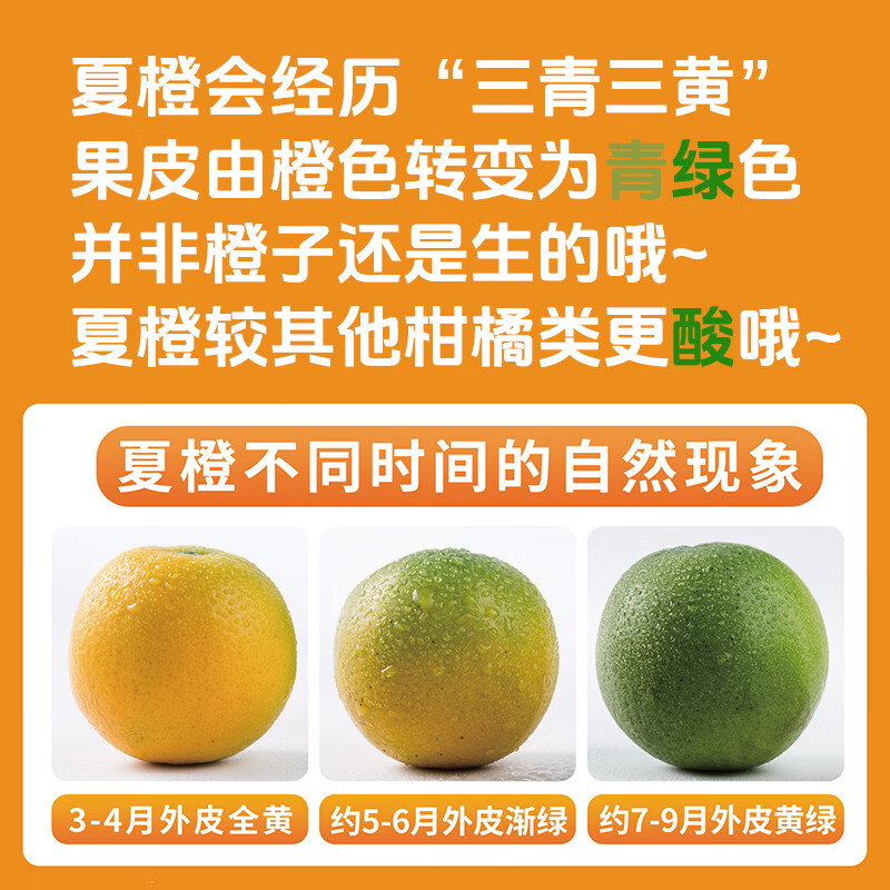 京觅秭归中华红橙8斤装单果230g+红肉脆嫩无渣 29.99元 - 86线报