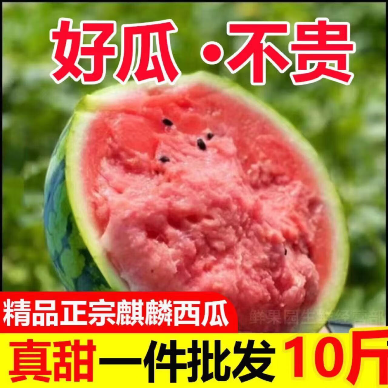 头茬美都西瓜现摘现发新鲜西瓜一整箱5到7斤 11.9元 - 线报酷