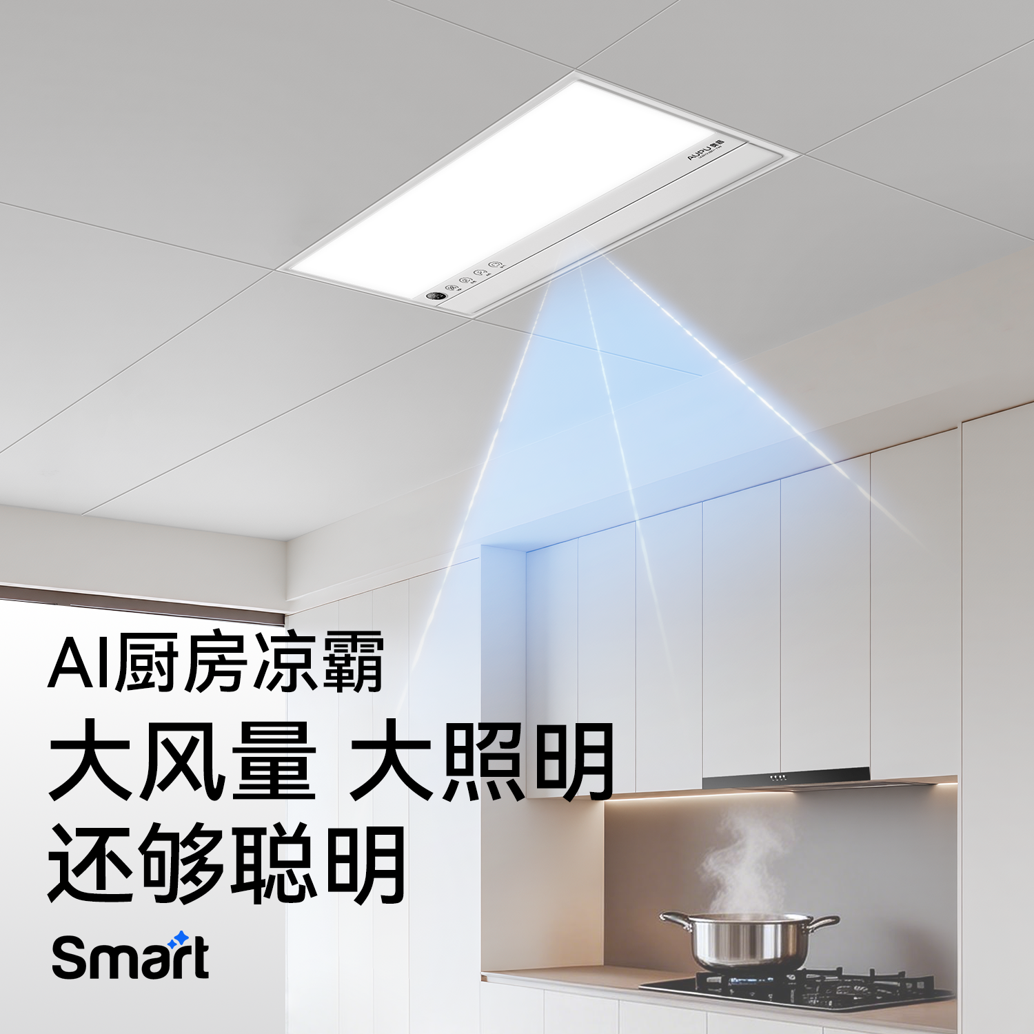 奥普W12厨房凉霸 389元 - 86线报