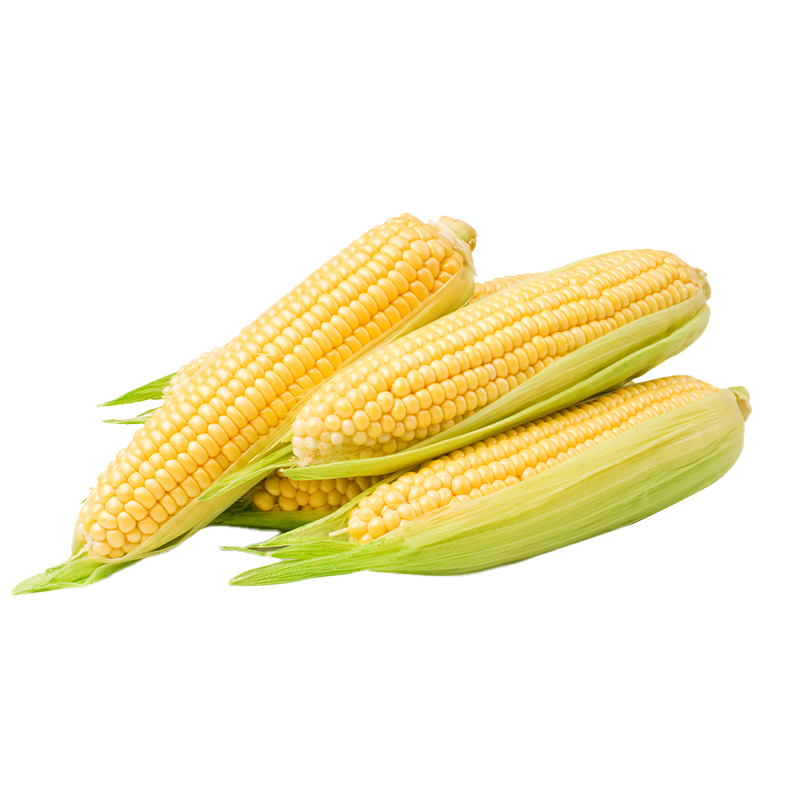 佳农宝菜山东水果玉米带绿皮单根300g+净重4.6斤 17.9元 - 86线报