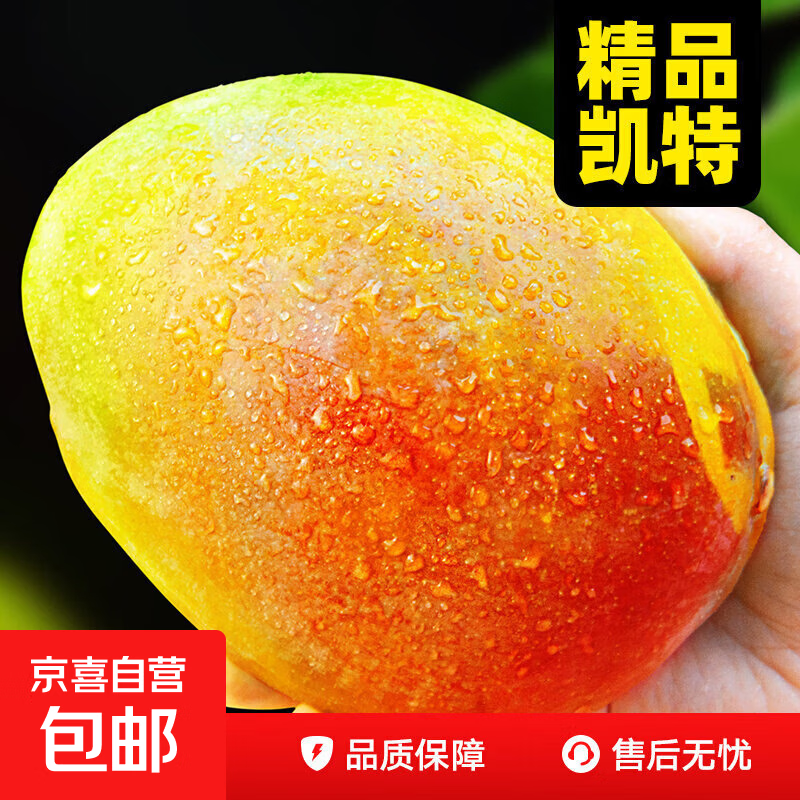凯特芒青黄皮四川甜心芒当季新鲜水果6斤装 10.9元 - 86线报