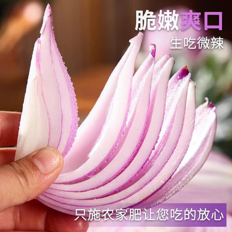 新鲜紫皮洋葱带箱5斤净重4.5斤左右 4.7元 - 86线报