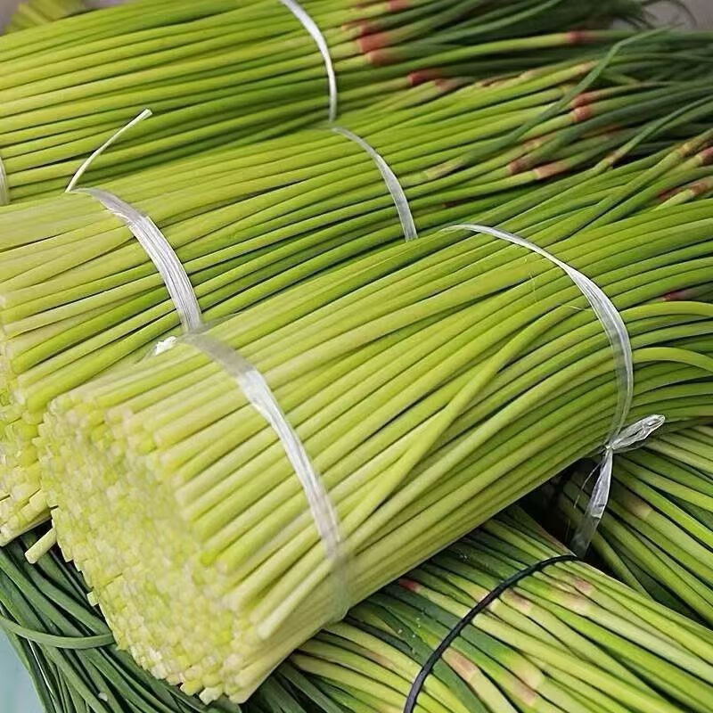 农家自种蒜苔新鲜即食蒜苔整箱5斤净重4.5斤 7.9元 - 线报酷