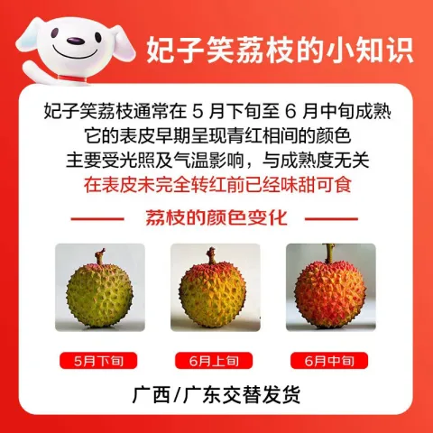 京鲜生 白糖罂荔枝 1.5kg 券后57.49元 图片 2