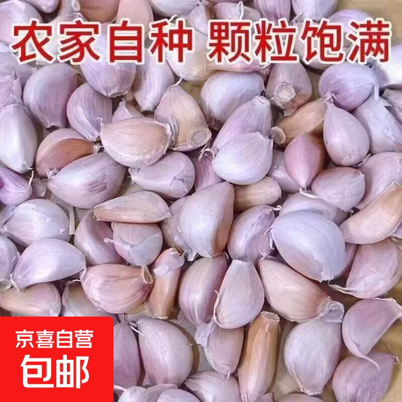 干蒜大蒜河南蒜头脆嫩蒜瓣生鲜蔬菜带皮蒜瓣15-20颗 0.66元 - 86线报 干蒜大蒜河南蒜头脆嫩蒜瓣生鲜蔬菜带皮蒜瓣15-20颗 0.66元 - 86线报