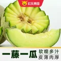 欢乐果园 海南枚珑网纹蜜瓜 4斤礼盒装 34.09元 图片 1
