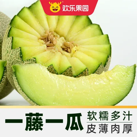 欢乐果园 海南枚珑网纹蜜瓜 4斤礼盒装 34.09元 图片 1