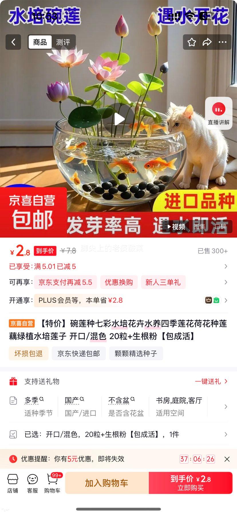 碗莲种七彩水培花卉水养莲花莲藕绿植水培莲子开口混色20粒+生根粉 2.8元 - 线报酷