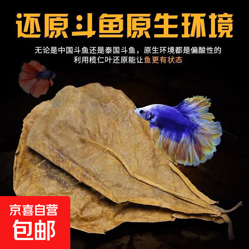 榄仁叶斗鱼懒人叶鱼缸橄榄叶降酸调节pH值10张20×12cm 1.96元 - 86线报