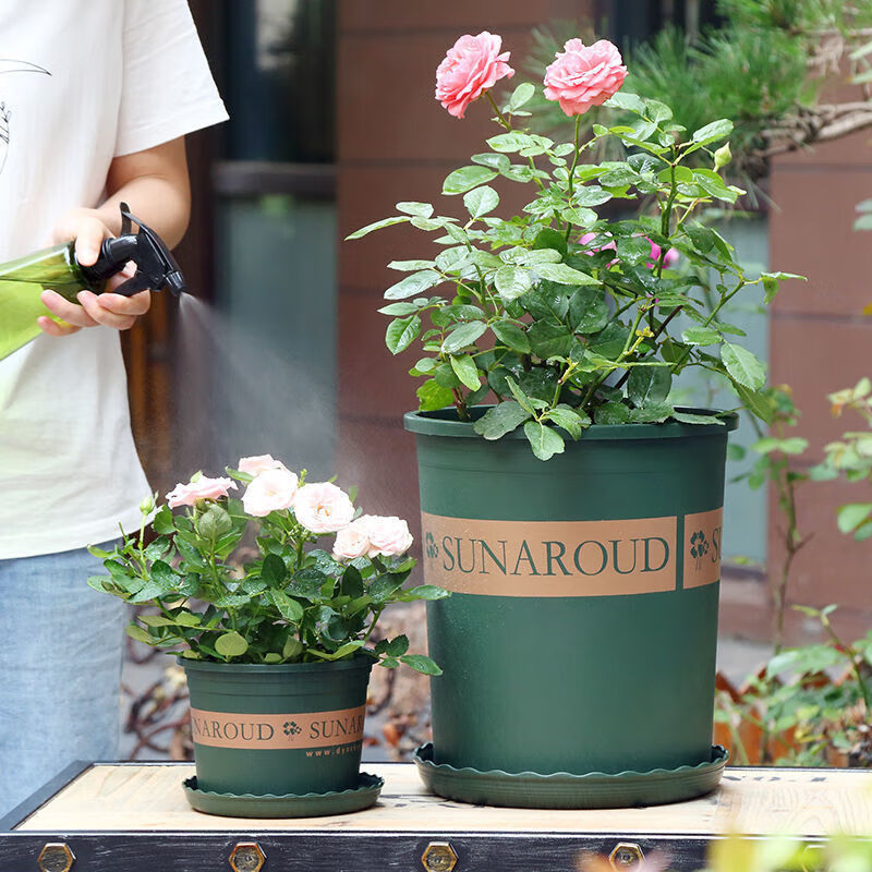 花盆矮款1加仑口径15cm1个盆配套托盘 0.99元 - 折送网