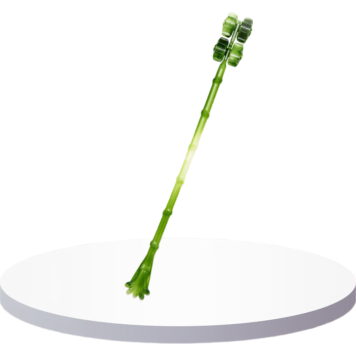 痒痒挠家用抓痒神器全身背部伸缩抓背器滚轮按摩 1元 - 86线报 痒痒挠家用抓痒神器全身背部伸缩抓背器滚轮按摩 1元 - 86线报