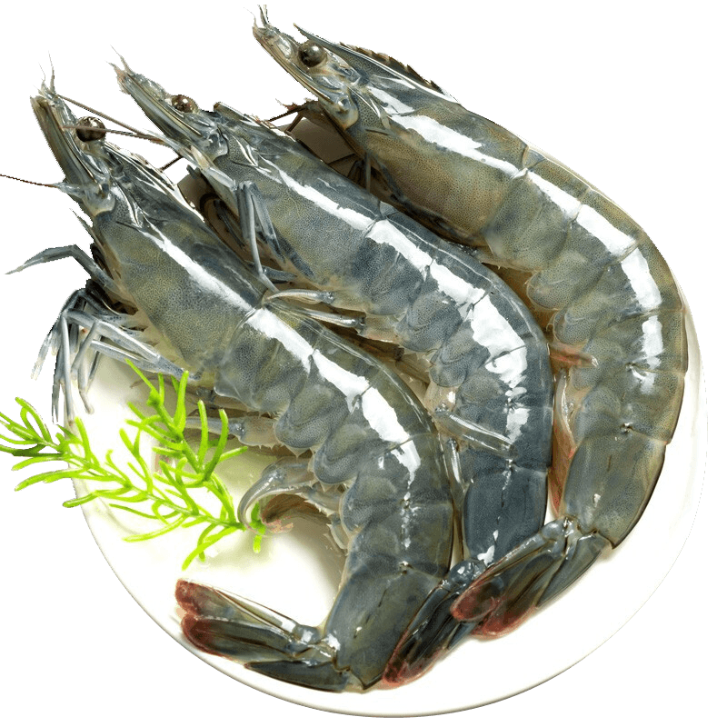 虾有虾途 青岛大虾 白虾青虾基围虾 3斤 净重 16-18cm 59.9元 - 86线报