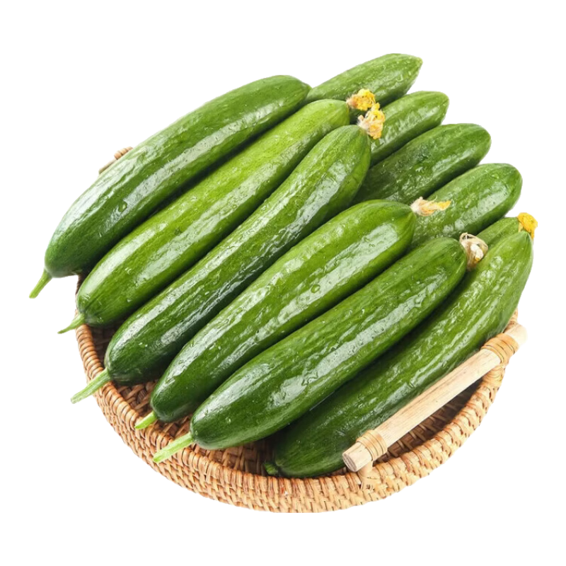 荷兰小黄瓜农家自种清爽脆嫩4.5斤 9.54元 - 86线报 荷兰小黄瓜农家自种清爽脆嫩4.5斤 9.54元 - 86线报