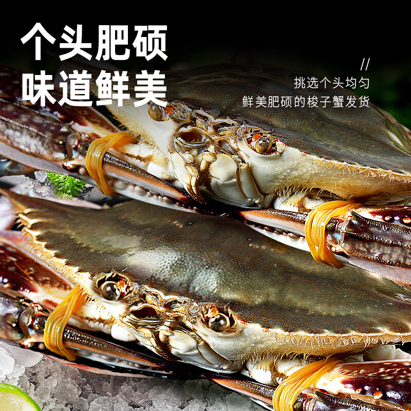 东上御品舟山梭子蟹5-7两/只4斤装 89元 - 86线报