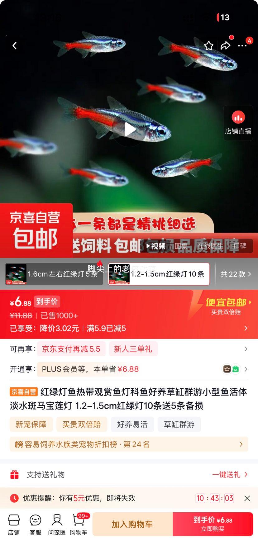 红绿灯鱼淡水观赏鱼1.2-1.5cm10条送5条共15条 6.88元 - 86线报
