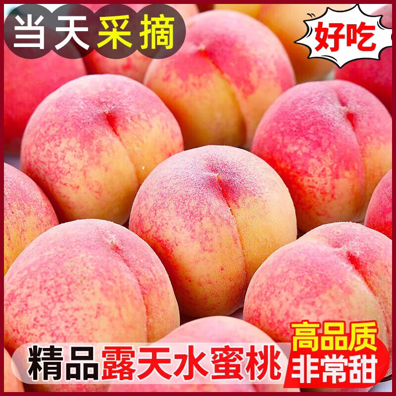 泰汇吃水蜜桃整箱净重5斤 12.68元 - 86线报