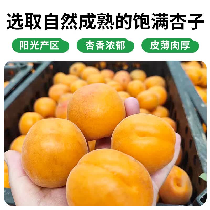 每果时光杏干大片杏脯年货果脯蜜饯水果干休闲小零食办公室过年小吃250g2袋 9.6元 - 86线报