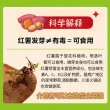 线报图片