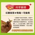 京鲜生 京东 山东临沂 紫罗兰紫薯5斤 紫心 地瓜 轻食新鲜蔬菜 源头直发 紫薯5斤装 快递 15.8元 图片 1