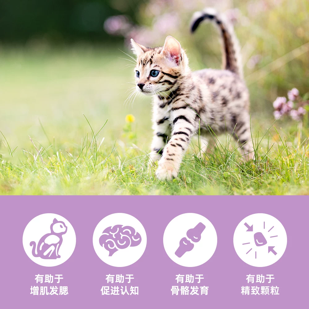 Orijen渴望幼猫猫粮5.4kg鸡肉布偶英短小颗粒1-12月 605.75元 - 86线报