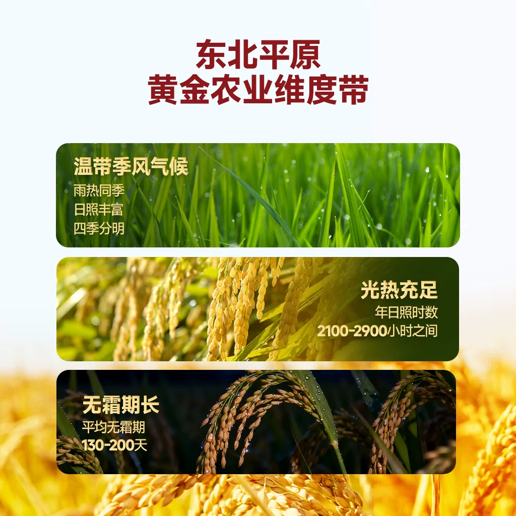 御香龙品臻选御香龙品2025新米原粮稻花香6号东北大米小包装米整箱20斤装 57.96元 - 86线报