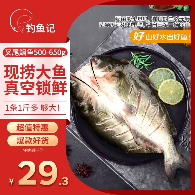 钓鱼记叉尾鮰鱼500g-650g 25.43元 - 86线报 钓鱼记叉尾鮰鱼500g-650g 25.43元 - 86线报
