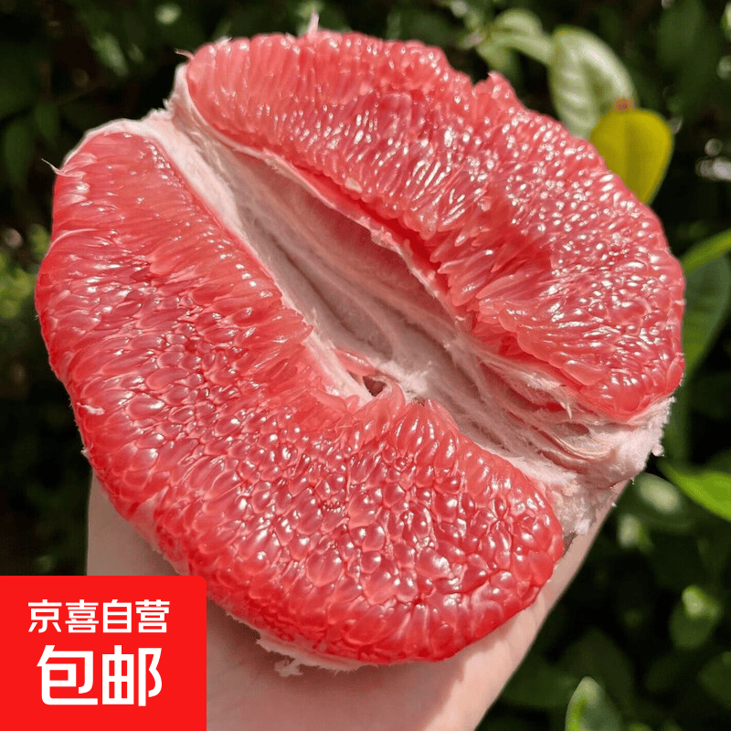 福建平和红心柚 三红蜜柚 新鲜柚子 孕妇水果 红心柚-净重9-10斤 大小混发 - 86线报