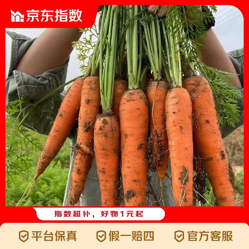 河南新鲜胡萝卜5斤 6.5元 - 86线报