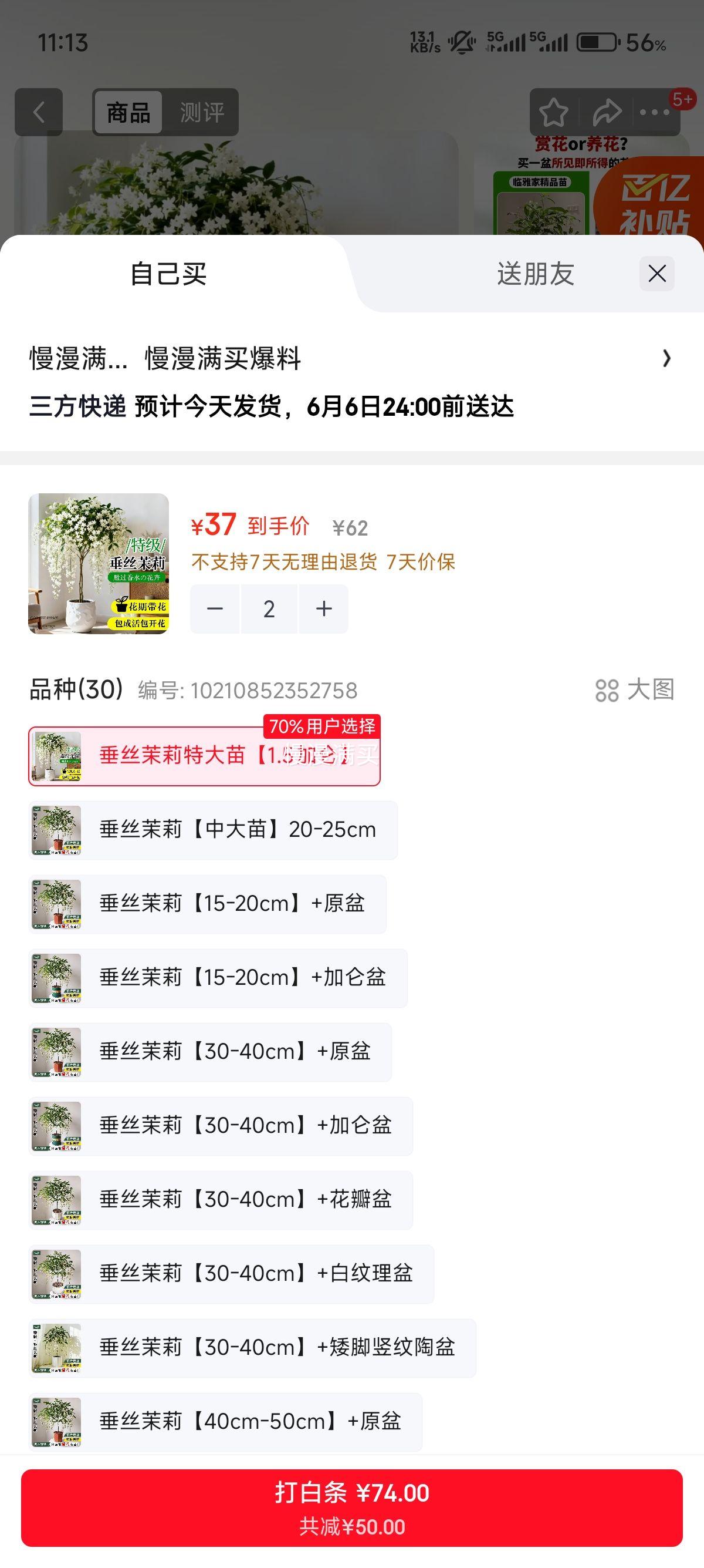 临雅垂丝茉莉老桩盆栽特大苗1.5加仑*2 74元 - 86线报 临雅垂丝茉莉老桩盆栽特大苗1.5加仑*2 74元 - 86线报