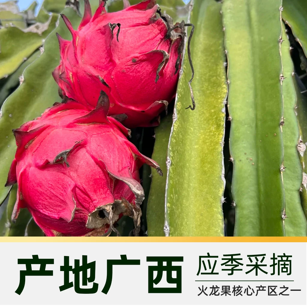 胡鲜森广西红心火龙果200g/颗 9.9元 - 86线报