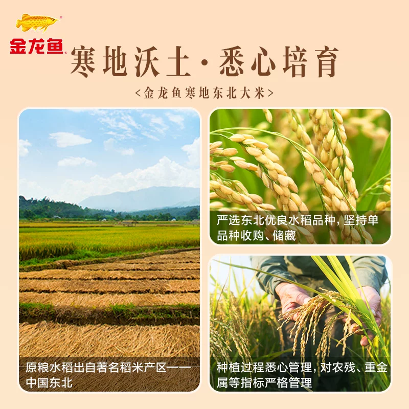金龙鱼寒地东北大米5kg*4袋共20公斤整箱装经典圆粒米 78.88元 - 86线报