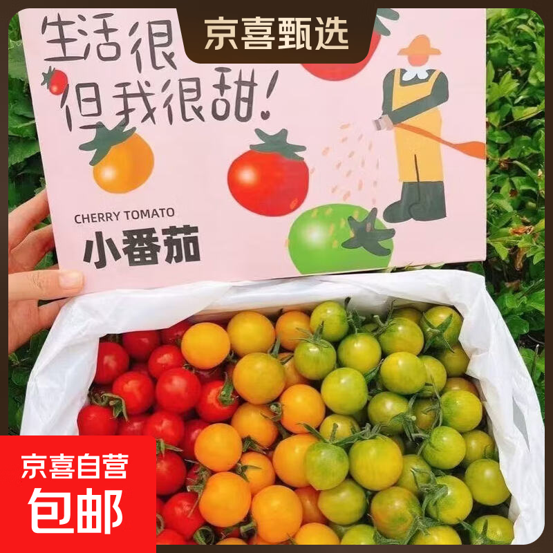 京喜加山东寿光三色小番茄3斤带箱净重2.8斤 14.9元 - 线报酷