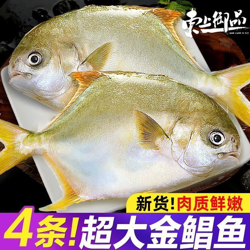 东上御品金鲳鱼4条超大鲳鱼新鲜冷冻海昌青岛金昌鱼海鲜水产批发 59.89元 - 线报酷