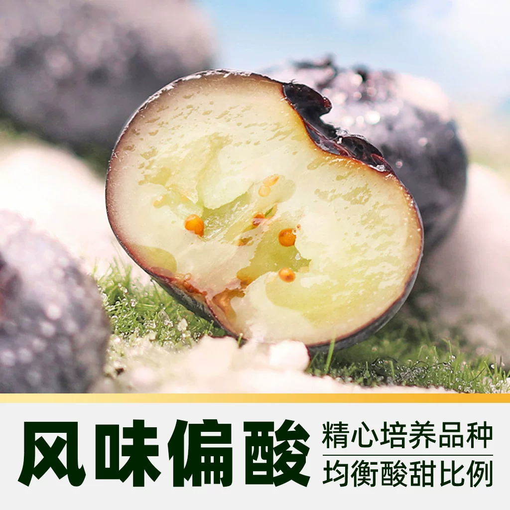 佳沃秘鲁进口蓝莓大果8盒 大果18-20mm 49.77元 - 86线报 佳沃秘鲁进口蓝莓大果8盒 大果18-20mm 49.77元 - 86线报