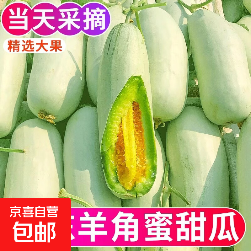 山东羊角蜜瓜带箱5斤净重4.5斤 17.9元 - 86线报