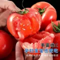 京喜加 沙瓤 西红柿 2斤 带箱 1.9元 图片 1