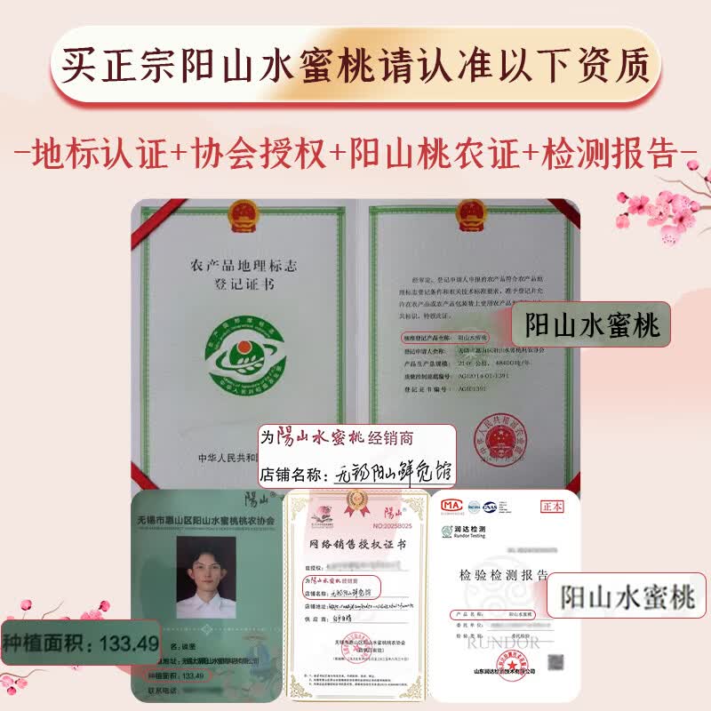 阳山无锡阳山水蜜桃单果4-5两12个礼盒装 58.55元 - 86线报