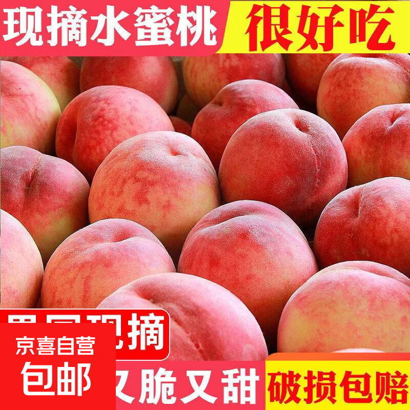 现摘水蜜桃整箱5斤净重4.5斤果王 12.09元 - 86线报