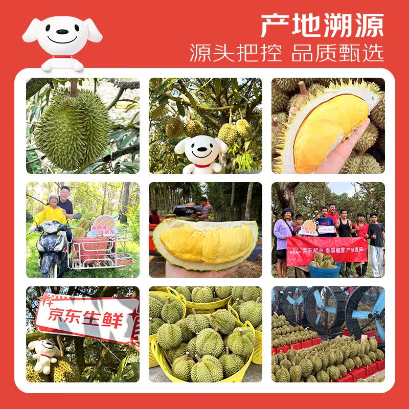 京鲜生金枕头榴莲3.5-4kg 166.9元 - 86线报